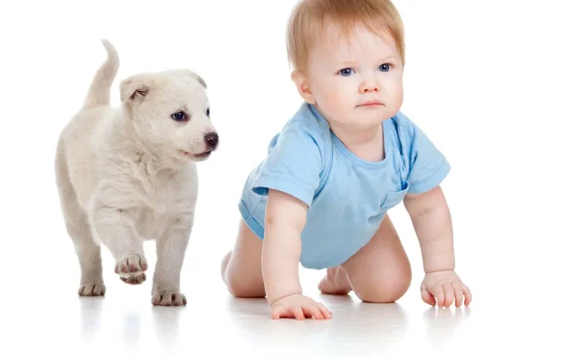 Darum krabbeln Erwachsene nun wie Babys