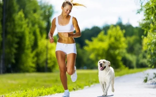 Diese Hunde sind die idealen Laufpartner.